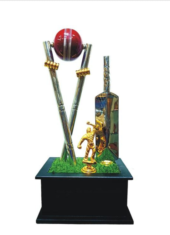 Silver Cricket Trophy Award - Ideal for sports awards and cricket trophies.
