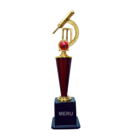 Cricket Trophy - Golden Bat and Ball Award