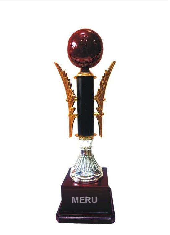 Image of a detailed metal cricket trophy with a maroon ball and golden wings.