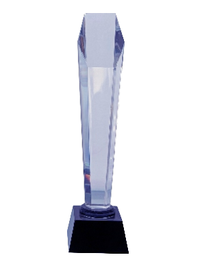 Clear crystal trophy award; perfect for corporate recognition.