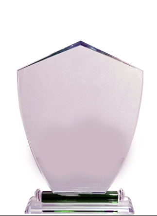 Elegant crystal trophy design; perfect for corporate awards.