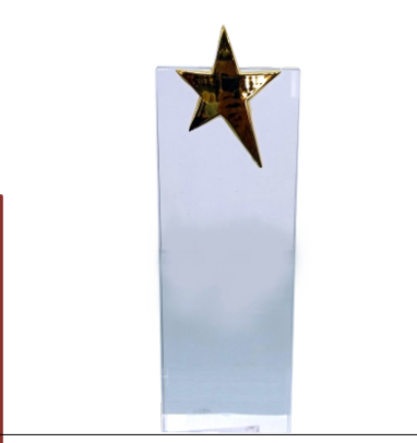 Gold star crystal trophy