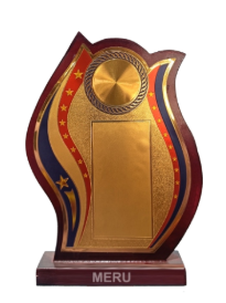 Flame Design Wooden Award Trophy 708 - Best Fiber Trophies