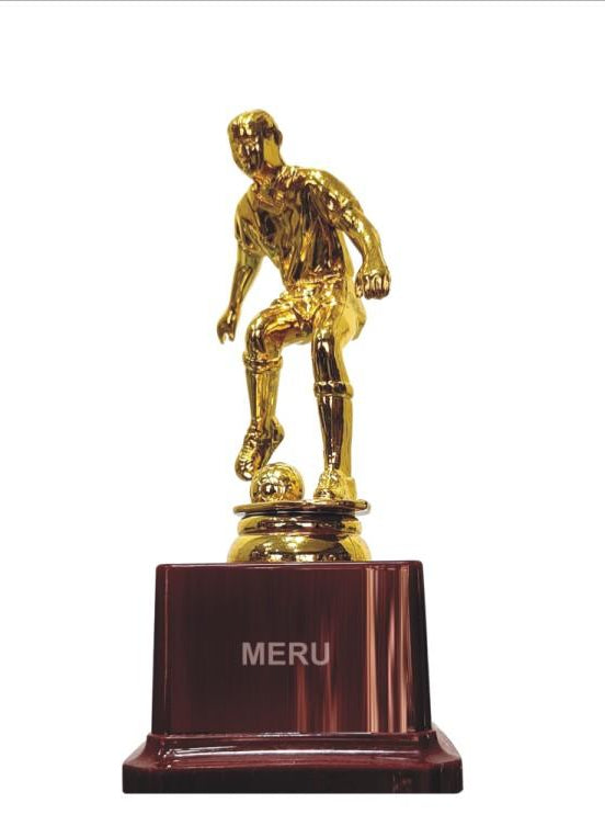 Gold soccer trophy award; perfect for sports achievements and fiber trophies.