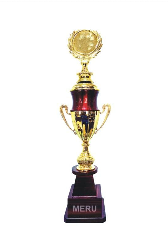 Image of a gold and maroon cup trophy; showcasing a classic design.