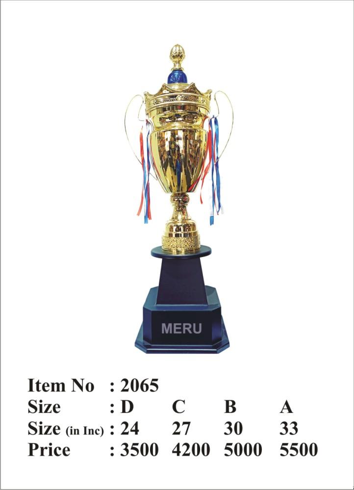 Gold Metal Trophy Cup 2065 - Sports Achievement
