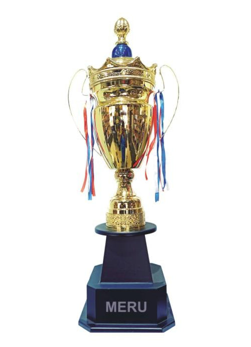 Gold Metal Trophy Cup 2065 - Sports Achievement