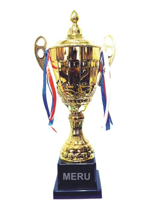 Metal Cup Trophy - Awards & Recognition...