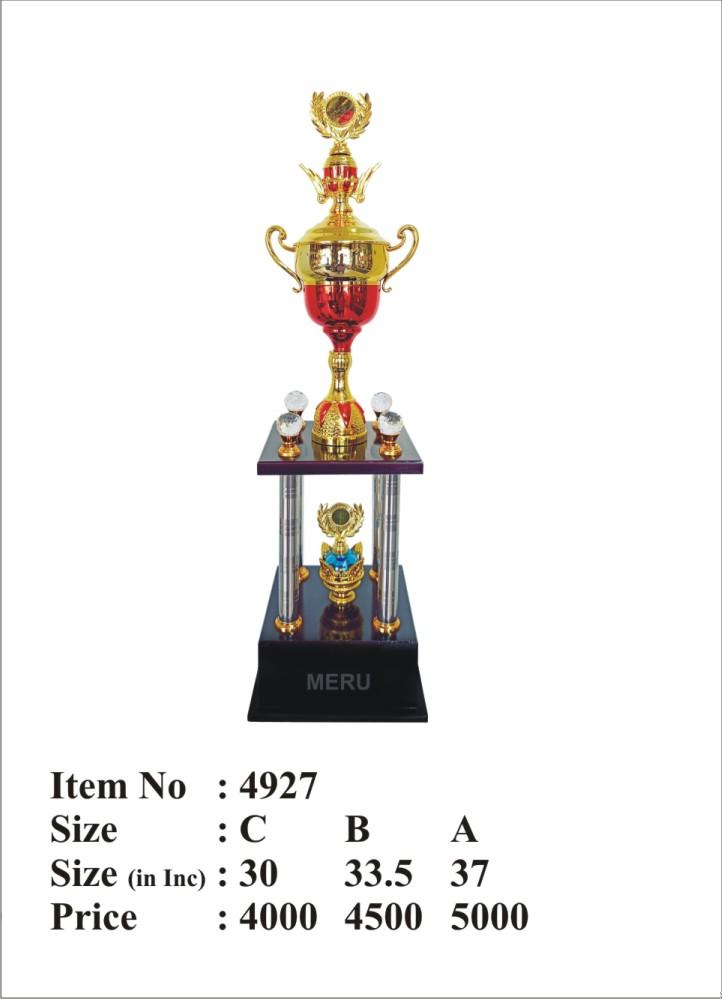 Elegant Metal Cup Trophy - Sports Award