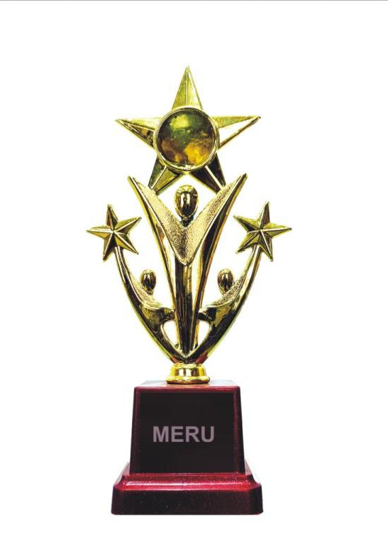 Gold Star Achievement Trophy 2373
 – Mer...