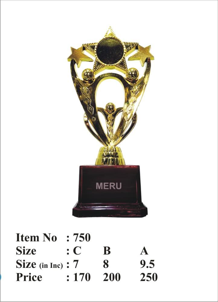 Gold Star Achievement Trophy - Detail Shot