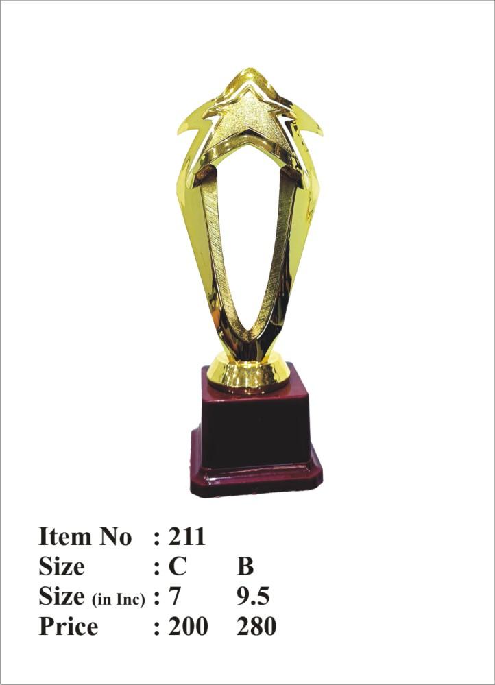 Gold Star Acrylic Trophy - Award Recognition