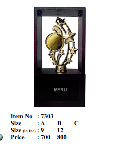 Gold star award trophy with wooden base.