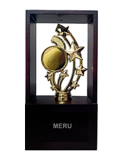 Gold star award trophy with wooden base.