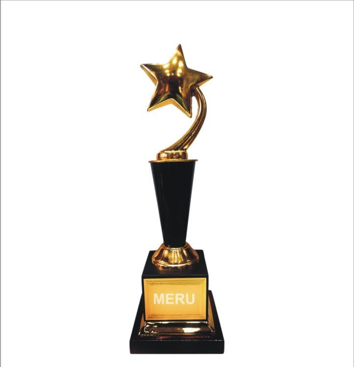 Gold star trophy; ideal for corporate awards and recognition.