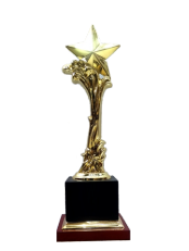 Gold Star Achievement Trophy.