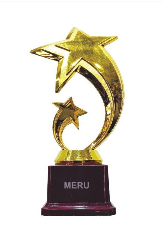 Gold Star Fibre Trophy