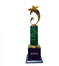Gold star custom trophy