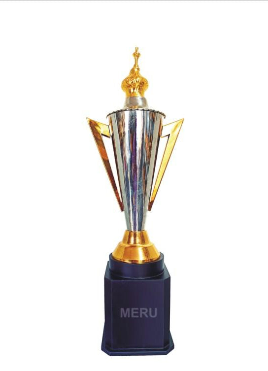 Elegant silver and gold metal trophy; ideal for sports awards and recognition.