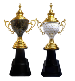 Metal Sports Trophy - Custom Award