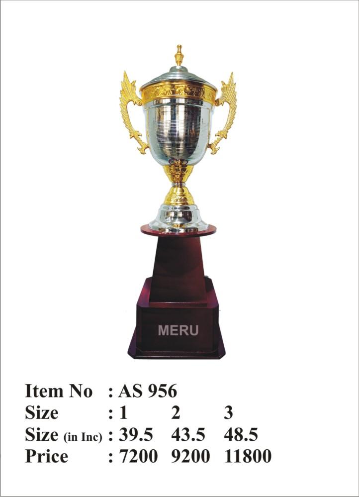Gold and Silver Cup Trophy