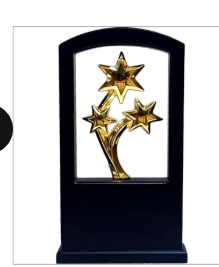 Black and Gold Star Acrylic Trophy - Award Trophy Design