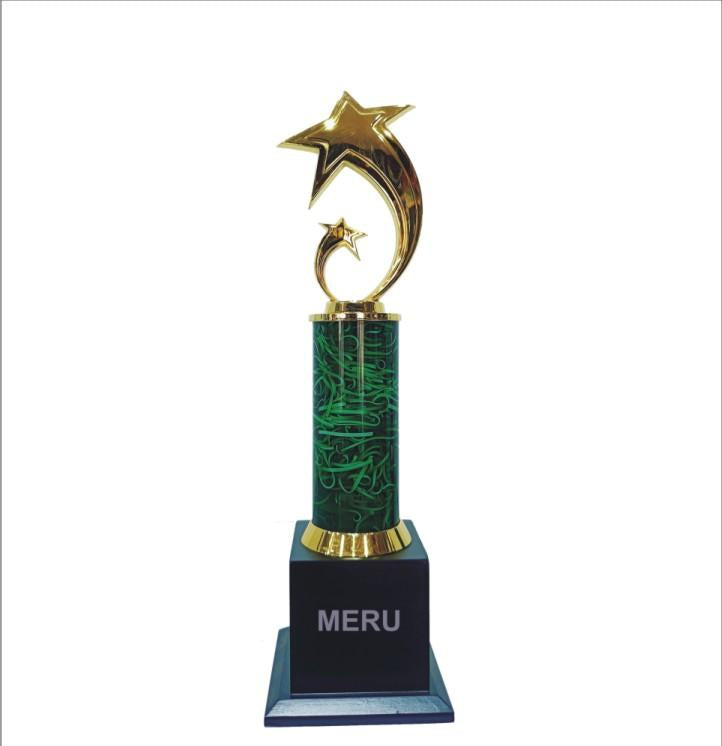 Star Award Trophy - Recognition & Achievement