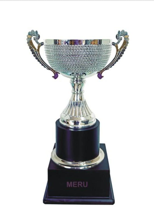 Silver metal trophy showcasing achievement and excellence. Ideal for awards ceremonies.