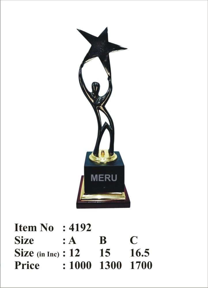 Star Achiever Trophy - A premium corporate trophy design for recognition awards.