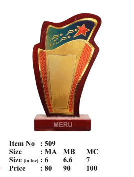 Wooden trophy award 509; perfect for employee recognition.