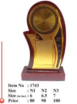 Wooden Star Award Memento - Corporate Recognition