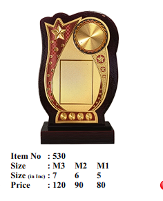 Wooden Trophy - Recognition Award 530