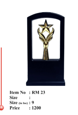 Gold star emblem on black wooden award trophy.
