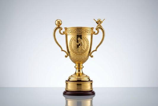 Best Cricket Trophy for a Tennis-Ball Tournament in India — Meru Trophy
