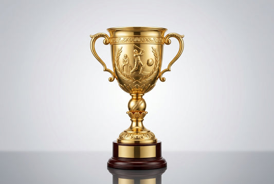 Budget Cricket Trophies for Local Tournaments in India — Meru Trophy