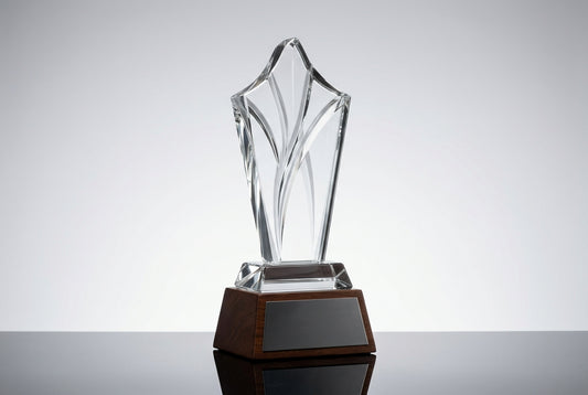 College Fest Trophy Supplier in Bangalore — Meru Trophy