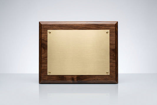 Conference Speaker Mementos in India — Meru Trophy