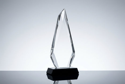 Corporate Award Trophy Supplier in Bangalore — Meru Trophy