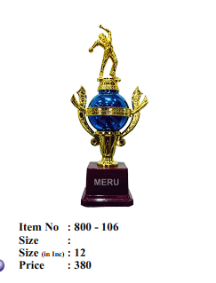 Custom Medals for Cricket Tournaments and Sporting Events