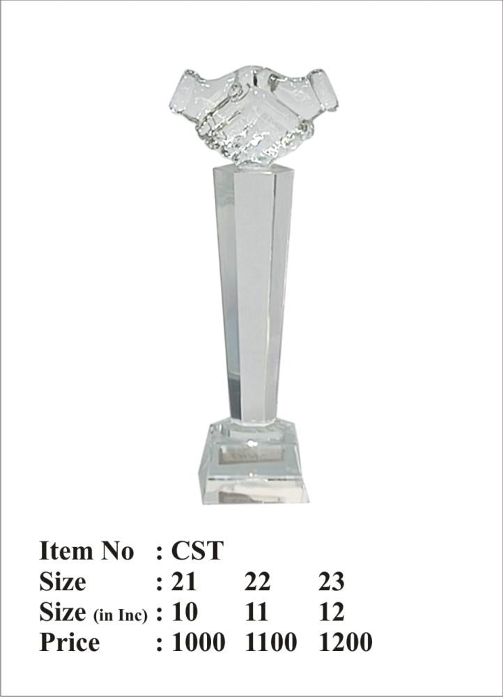 Meru Trophy Case Study: Successful Corporate Recognition Using Premium Crystal Trophies