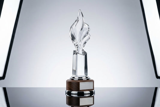 Custom Trophy Supplier in Mumbai — Meru Trophy