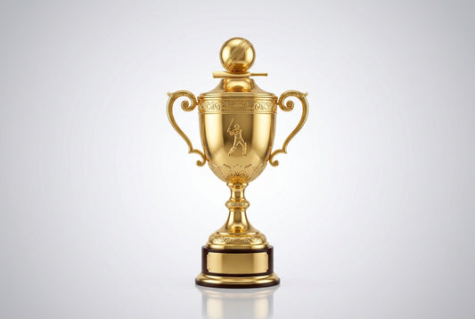 Die-Cast Cricket Trophy Supplier in India — Meru Trophy