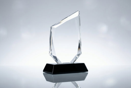 Long Service Award Trophies in India (5, 10, 25 Years) — Meru Trophy