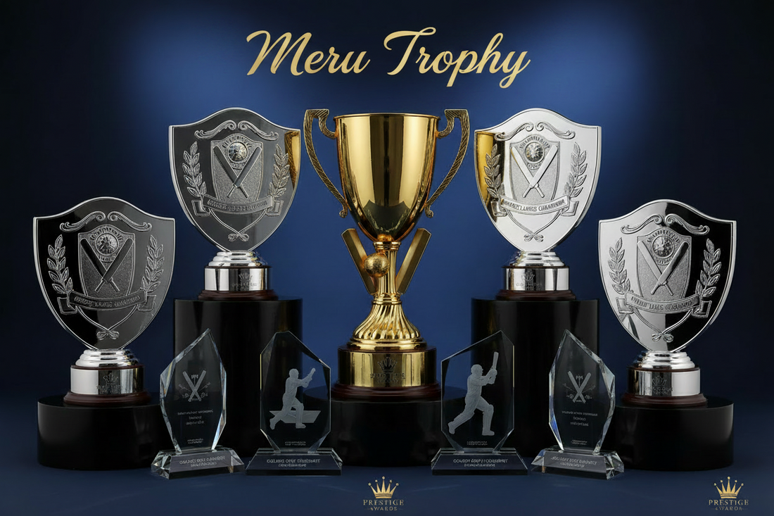Cricket Trophies for corporate and sports recognition events crafted by Meru Trophy India award manufacturer