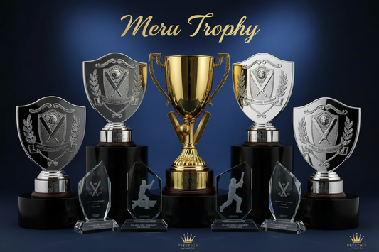 Cricket Trophies for corporate and sports recognition events crafted by Meru Trophy India award manufacturer