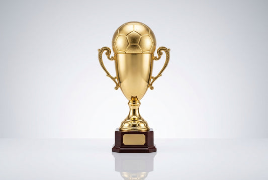 Where to Buy a Football Trophy Cup Online in India — Meru Trophy