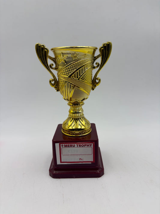 Gold Award Trophy Cup - Custom Trophy and Recognition Awards 595