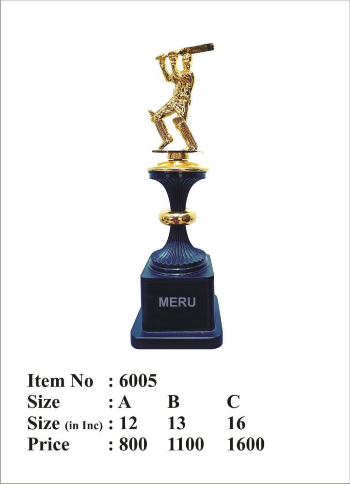 Metal cricket trophy design; ideal for sports awards and recognition.