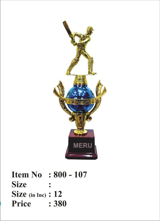 Gold batsman figurine cricket trophy; a symbol of victory and dedication.