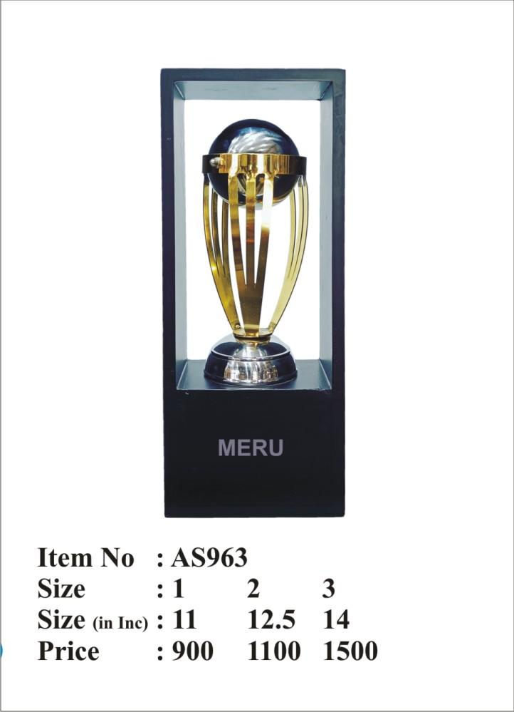 Elegant metal trophy design; ideal for cricket awards and sports achievements.